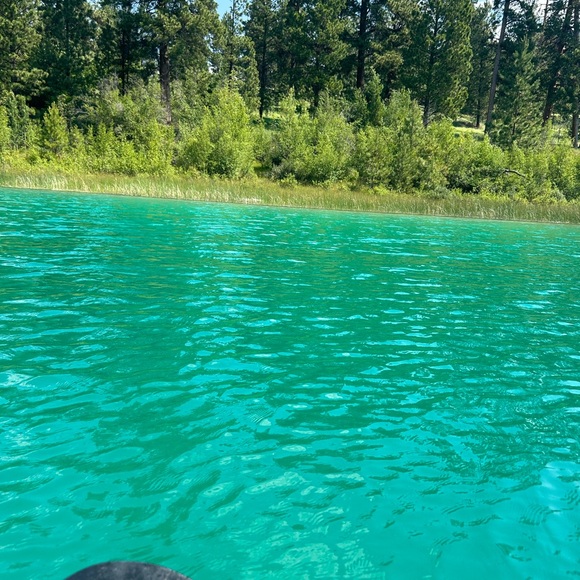 Meet your Posher, Cherie - Picture 2 of 2